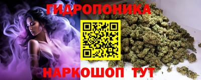 гашиш Кингисепп