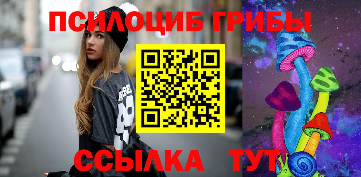 Сосновый Бор  Галлюциногенные грибы Psilocybine cubensis  Вход с VPN  закладки  Псилоцибиновые грибы Psilocybine cubensis 