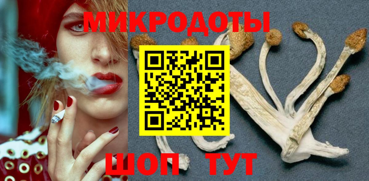 Галлюциногенные грибы Psilocybine cubensis Сосновый Бор